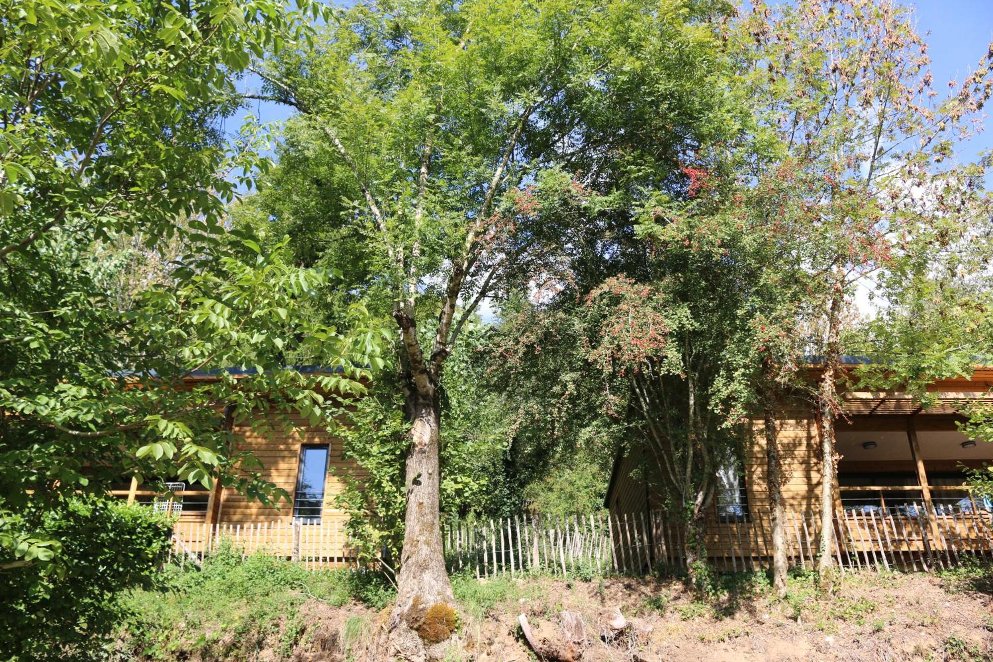 Camping Moulin De Chaules Saint-Constant Zewnętrze zdjęcie
