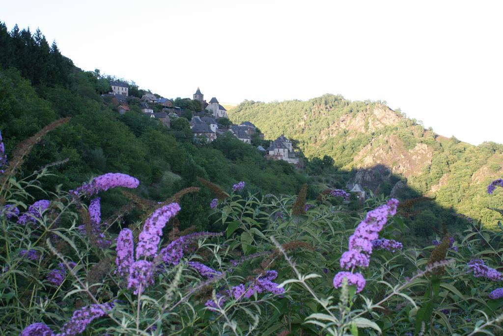 Camping Moulin De Chaules Saint-Constant Zewnętrze zdjęcie